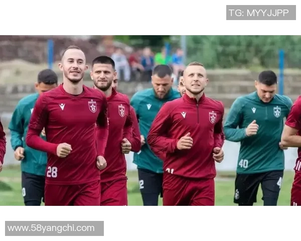 荷兰与白俄罗斯的对决分析及比赛前瞻探讨 荷兰与白俄罗斯的对决分析及比赛前瞻探讨