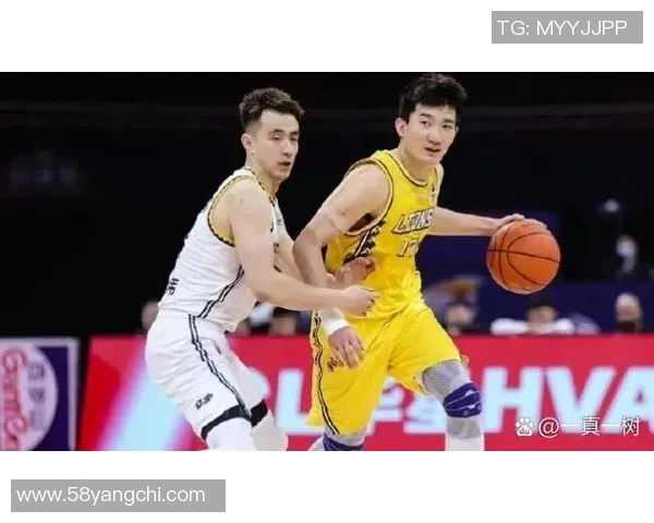 2017赛季CBA辽宁队与广东队巅峰对决回顾与精彩瞬间分析