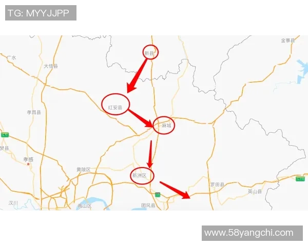 浙江与深圳2021年对决谁将胜出分析与预测