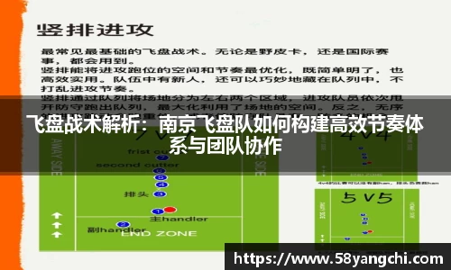 飞盘战术解析：南京飞盘队如何构建高效节奏体系与团队协作