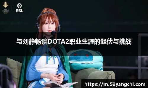 28圈体育