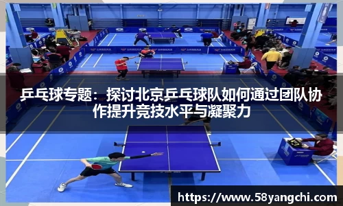 乒乓球专题：探讨北京乒乓球队如何通过团队协作提升竞技水平与凝聚力