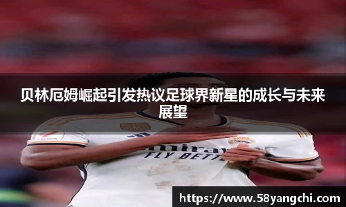 28圈体育