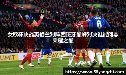28圈体育